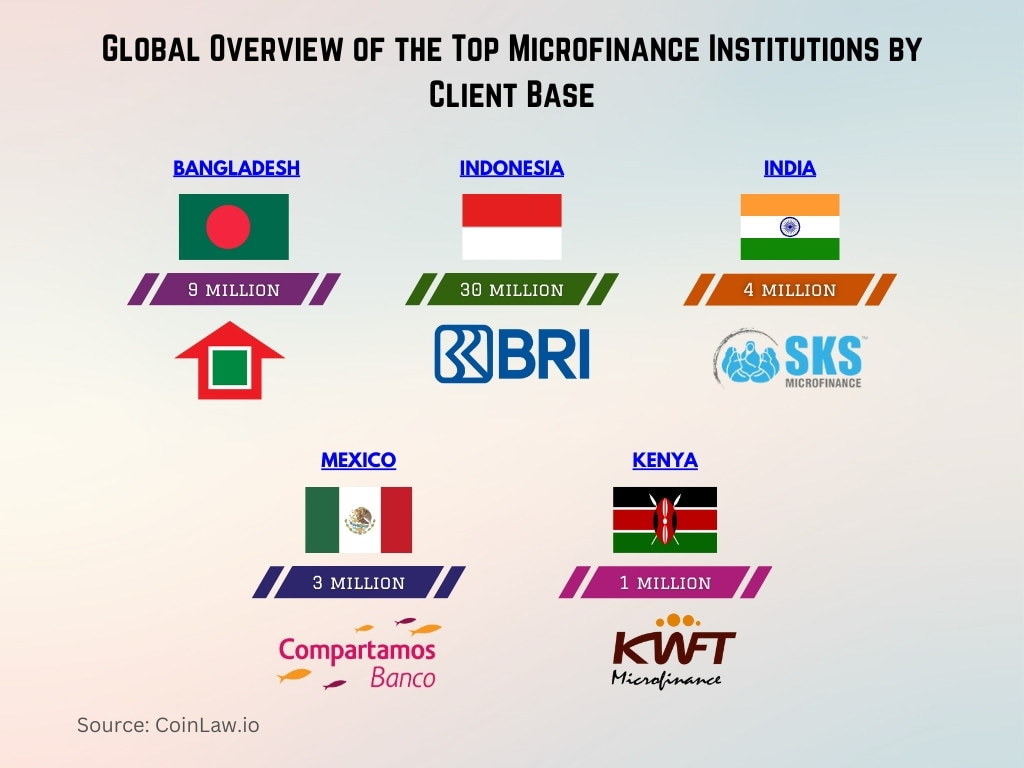 Global Overview of the Top Microfinance Institutions by Client Base