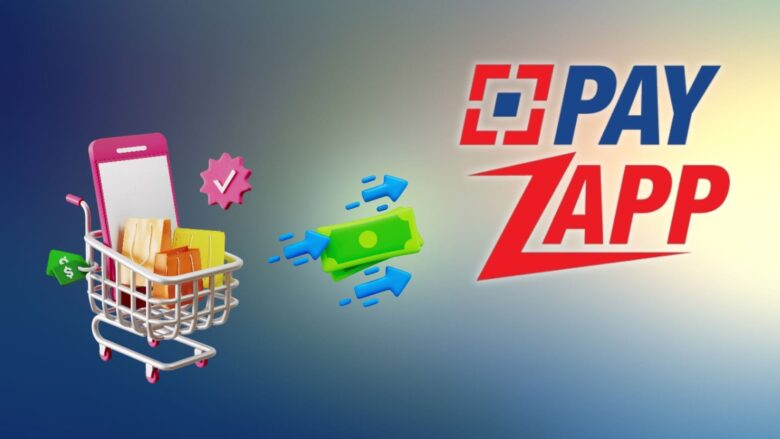 PayZapp Statistics 2026: Revenue Streams, User Trends, and Industry Standing