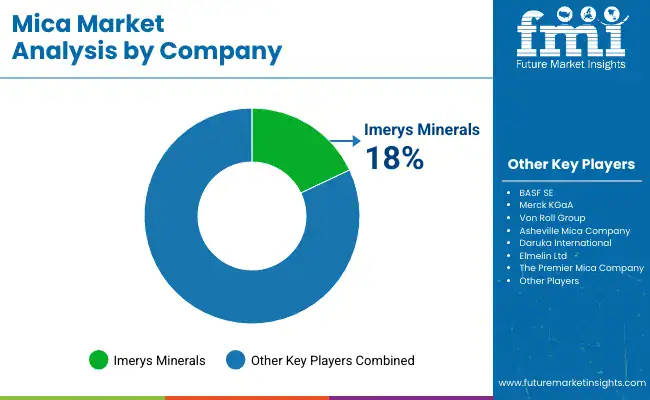 Global MiCA Market Share by Company