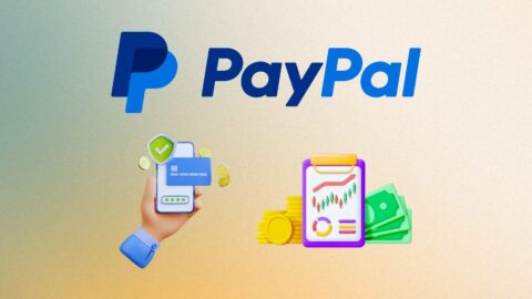 PayPal Statistics 2025: A Deep Dive into Global Revenue, Users, and Transaction Volume