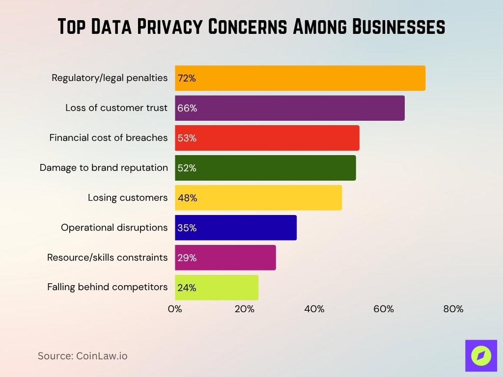 Top Data Privacy Concerns Among Businesses