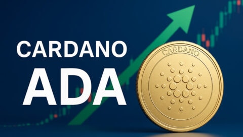Cardano (ADA) Price Could Jump to $80 or $800 as Hoskinson Eyes Bitcoin DeFi Role