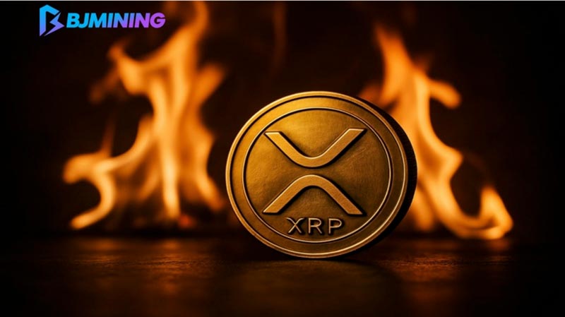 Bjmining Xrp