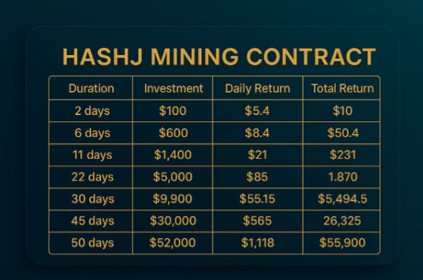 Hashj Profit Table