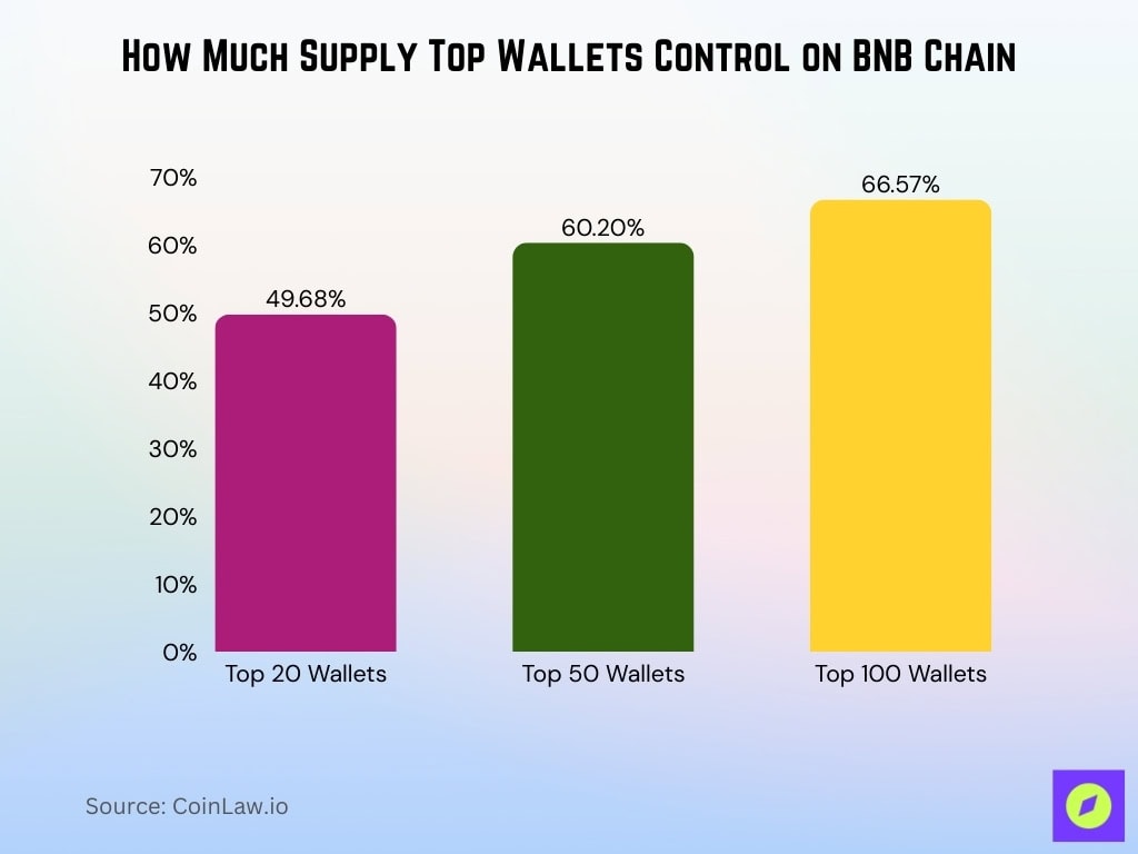 How Much Supply Top Wallets Control on BNB Chain