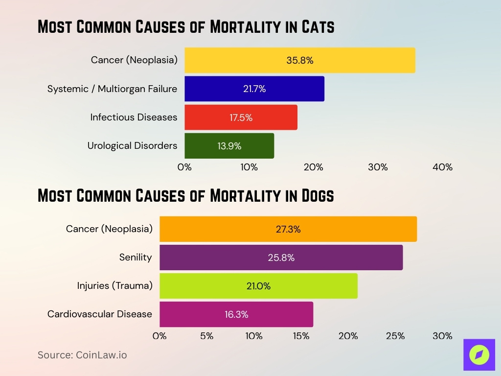 Most Common Causes Of Death In Cats And Dogs