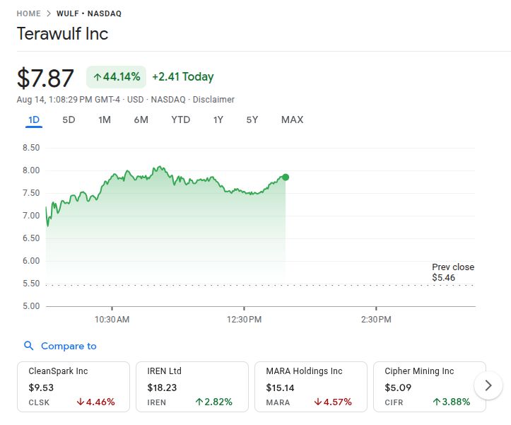 Terawulf Stock Gains After Google Investment