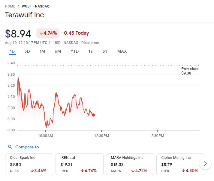 Terawulf Stock Price After Google Stake Purchase