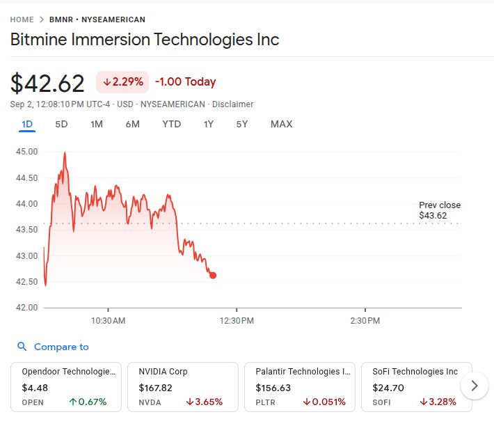 Bitmine Stock On 2nd Sept