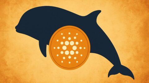 Cardano (ADA) Price Faces $500M Whale Selling, $1.25 Target in Sight