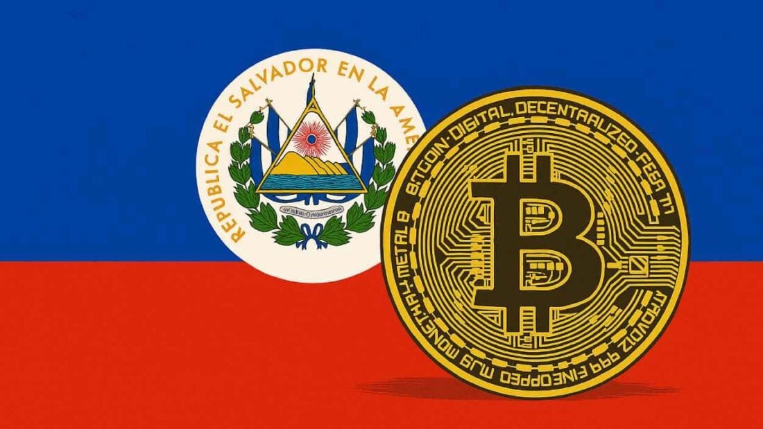 El Salvador Buys Btc On Bitcoin Day