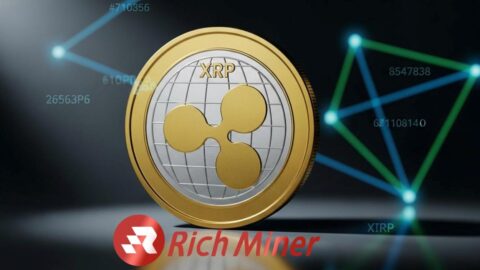 RICH Miner Mobile Cloud Mining: A New Choice for XRP Users, Enabling Earnings Anytime, Anywhere