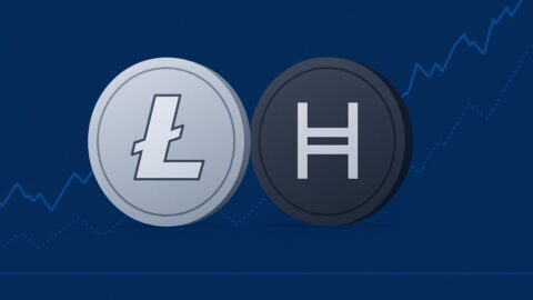 Litecoin and Hedera ETFs by Canary Capital Near Launch Amid SEC Delays
