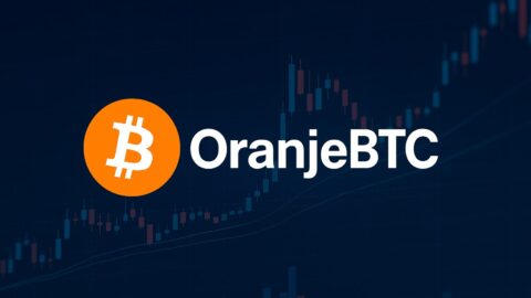 OranjeBTC Grows BTC Holdings to 3,691 Despite Market Setback