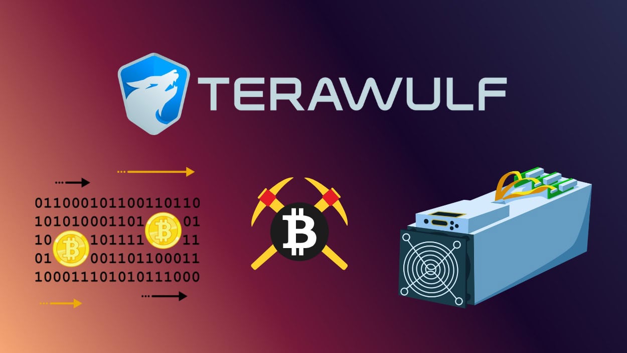 TeraWulf Statistics