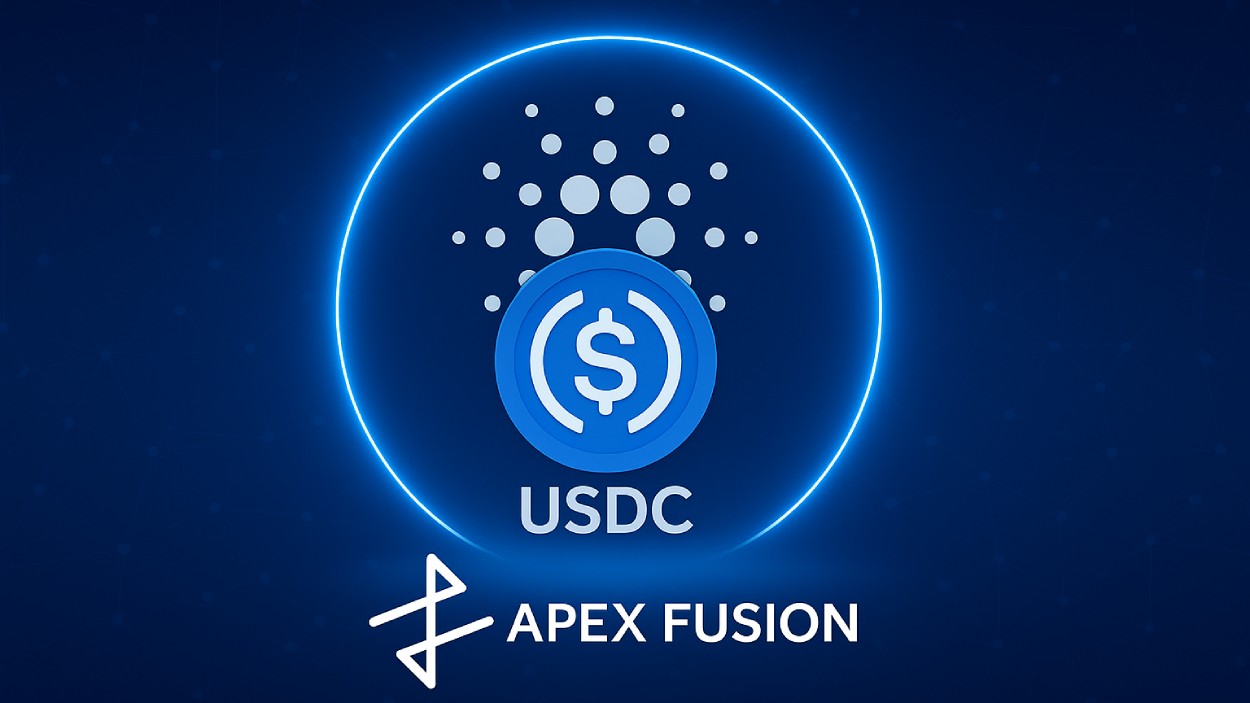 Apex Fusion Brings Usdc Liquidity With Stargate Integration