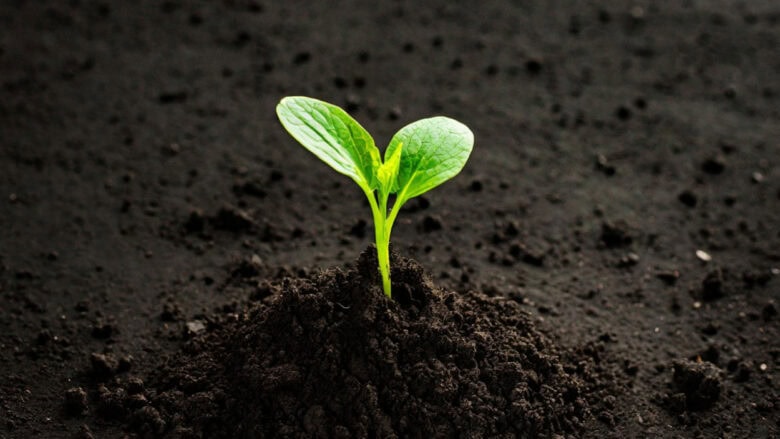 Binance Still Dominates Crypto, But Real Alternatives Are Emerging