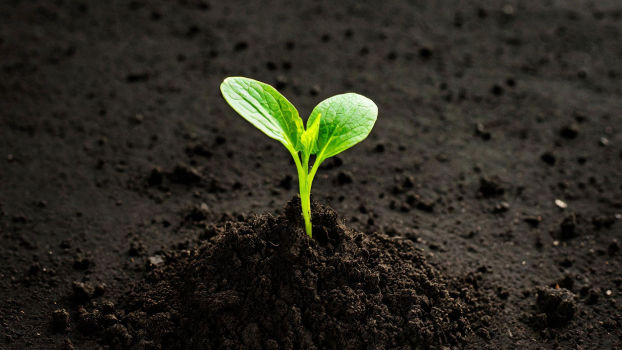 Binance Still Dominates Crypto But Real Alternatives Are Emerging