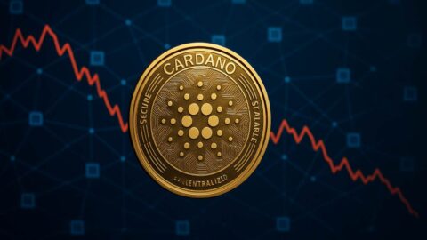 Cardano Survives Network Split Triggered by Years-Old Bug