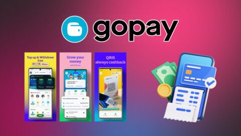 GoPay Statistics 2025: Growth, Insights & Trends