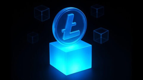Top 5 Underrated Litecoin Cloud Mining Platforms in 2025 for Beginners