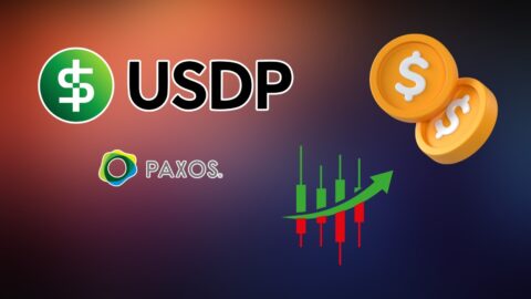 USDP Statistics 2025: Real Data, Big Insights Inside