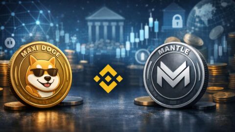 Binance Eyes Listings for Maxi Doge and Mantle as DeFi Interest Soars