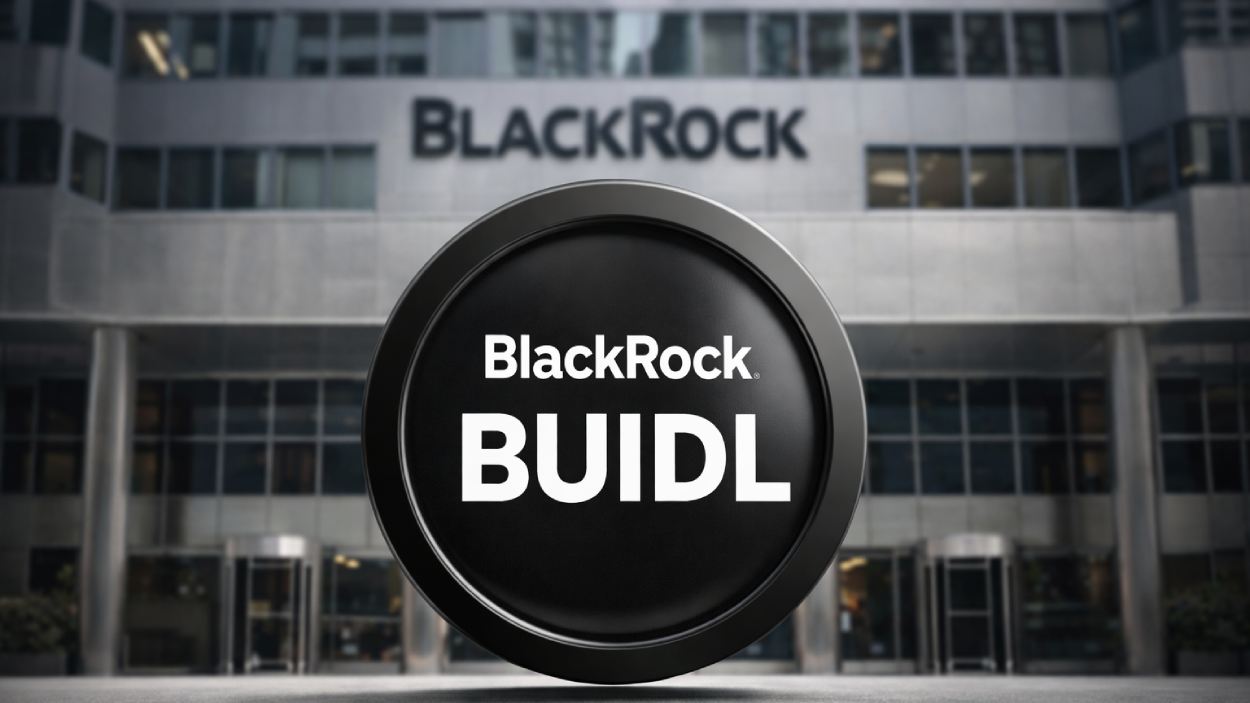 Blackrocks Buidl Fund Offers 100m In Dividends