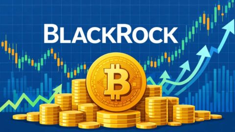BlackRock Bitcoin ETF Leads $355M Inflows as Institutions Return