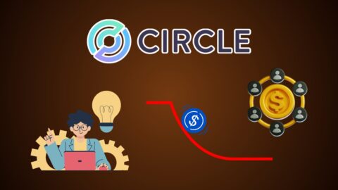 Circle Statistics 2025: Numbers That Tell the Truth