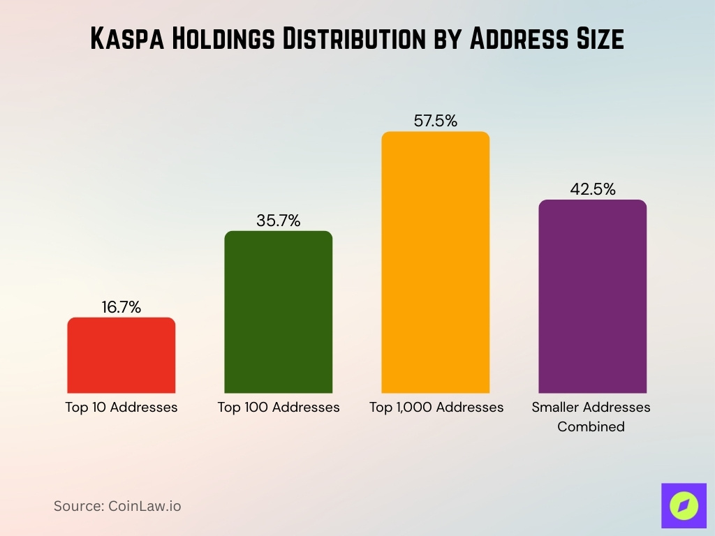 Kaspa Holdings Distribution By Address Size