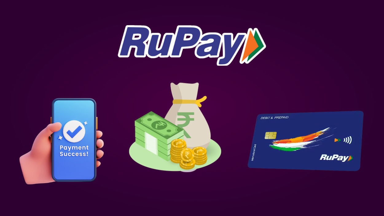 RuPay Statistics
