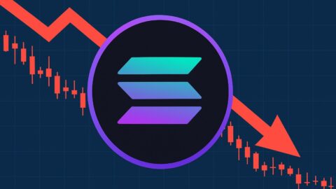 Solana ETFs Hit Record Outflows but Institutional Interest Holds Firm