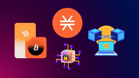 Stacks Statistics 2025: Volatility, Value & Vision