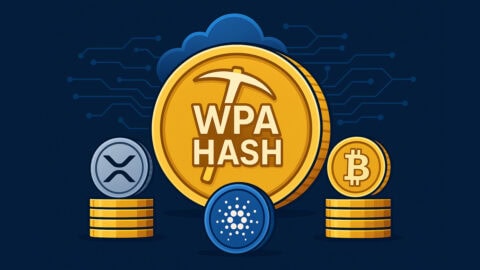 XRP, BTC, and ADA Holders Can Now Earn Stable Daily Returns Through WPA Hash