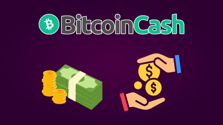 Bitcoin Cash Statistics 2026: Growth, Risk, Truth