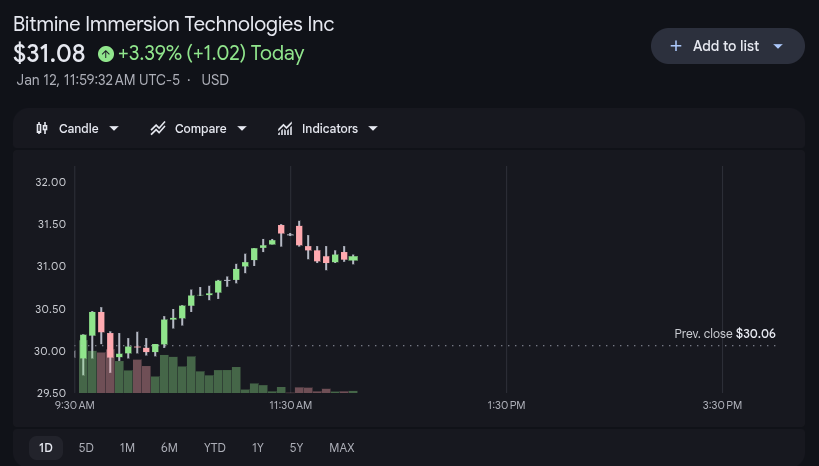 Bitmine Stock Price 12th January