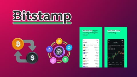 Bitstamp Statistics 2026: Surprising Growth Trends