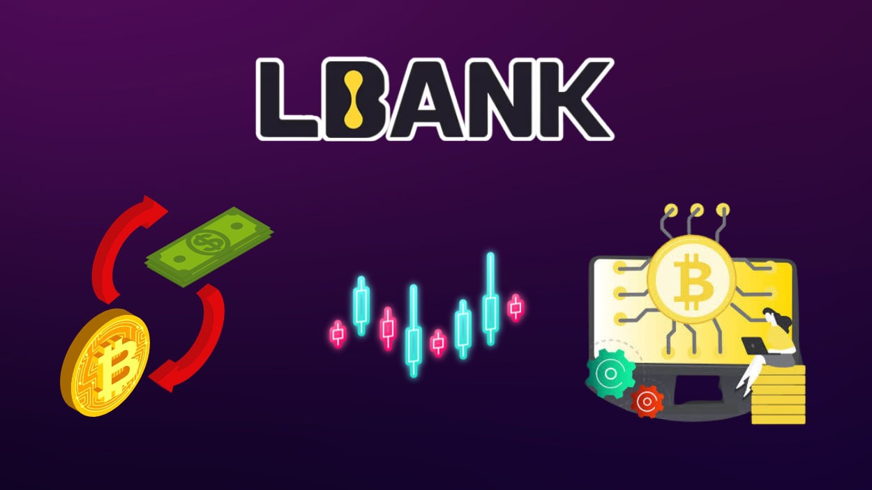 LBank Statistics