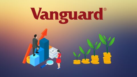 Vanguard Statistics 2026: Growth, Fees & Winners