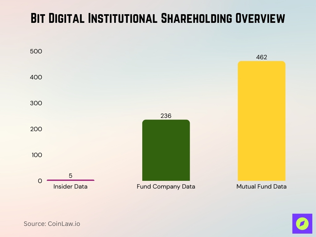 Bit Digital Institutional Shareholding Overview