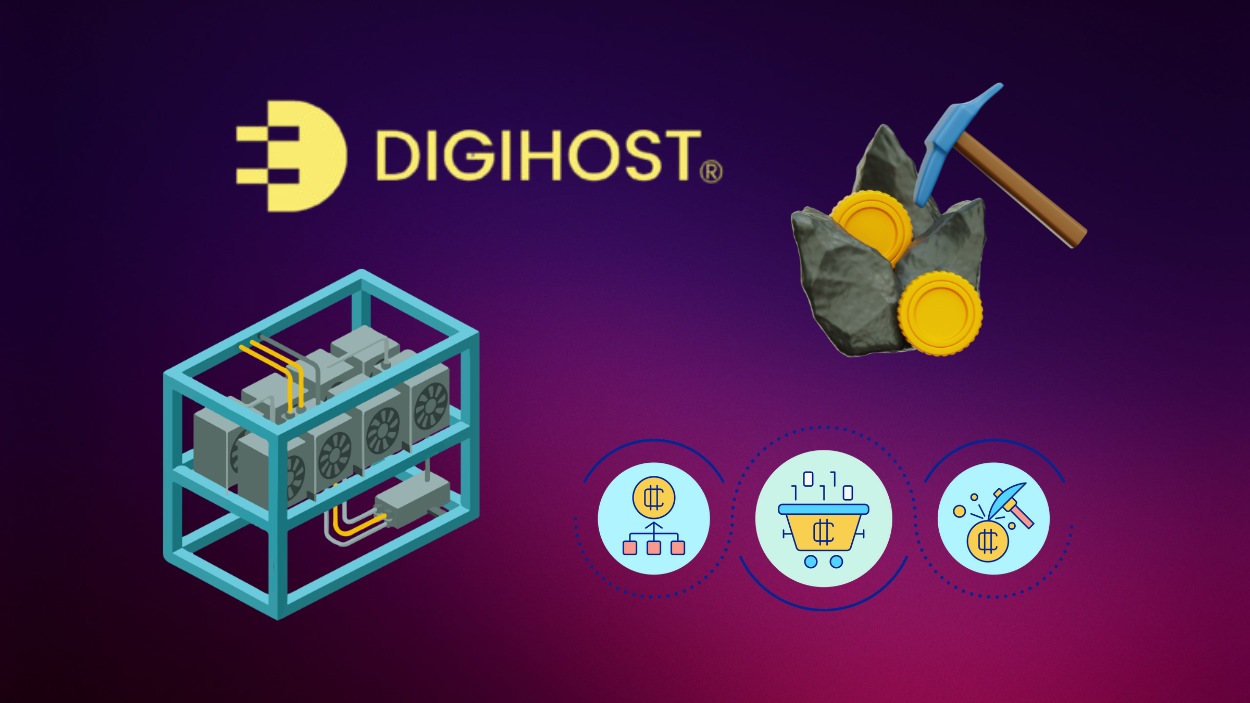 Digihost Statistics