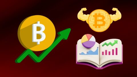 Bitcoin All-Time High Statistics
