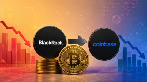 BlackRock Makes Record $446M Bitcoin Move Amid ETF Selloff