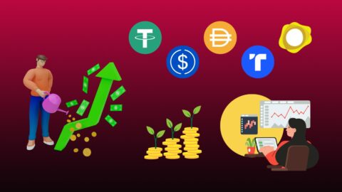 How to Invest in Stablecoins 2026: Yields, Risks, and Platforms