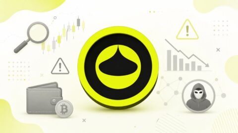 Rain Protocol Faces Scrutiny After ZachXBT Warning