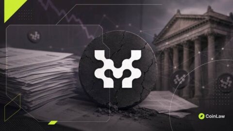 Movement Labs Files Chapter 11 Bankruptcy