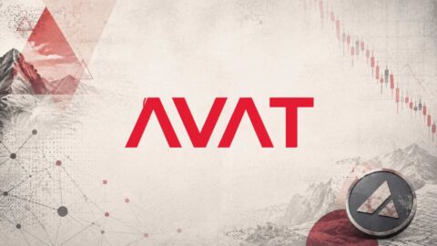 Avat Posts 44 7 Million Loss