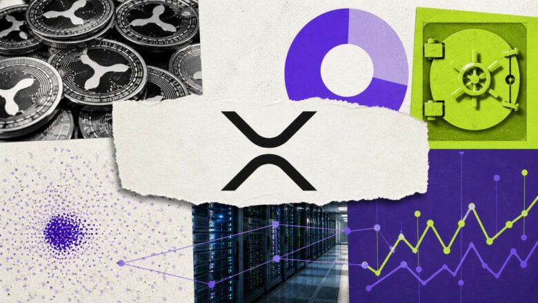 XRP Statistics Supply Holders and Network Data