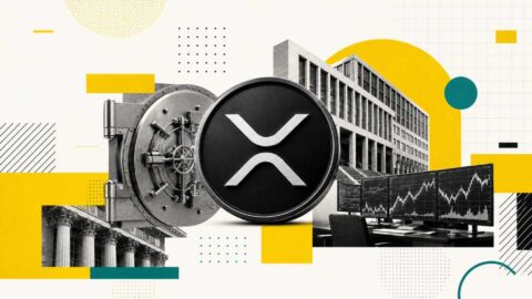 Dag Wealth Xrp Parataxis Capital Custody